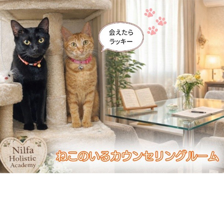 Nilfa Holistic Academy